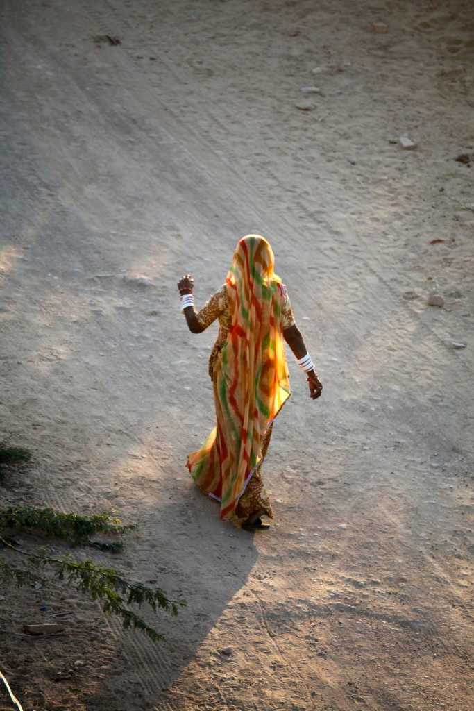 India - Rajasthan - dancing in the sunset