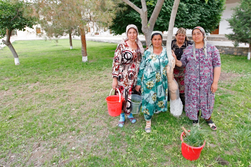 Uzbekistan - Gardening in Bukhara's neigbhorhoods