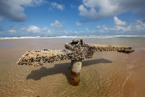Australia - Frazer Island - Wreck